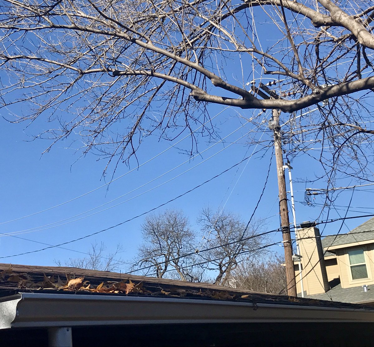 CompanyRoofing's tweet photo. Leaf guard doing its job!
Stop paying for annual gutter cleaning and get a free estimate for leaf guard from AM Gutter Services 214-980-4366.
#leafscreen #leafguard https://t.co/Qoml5FhvVb