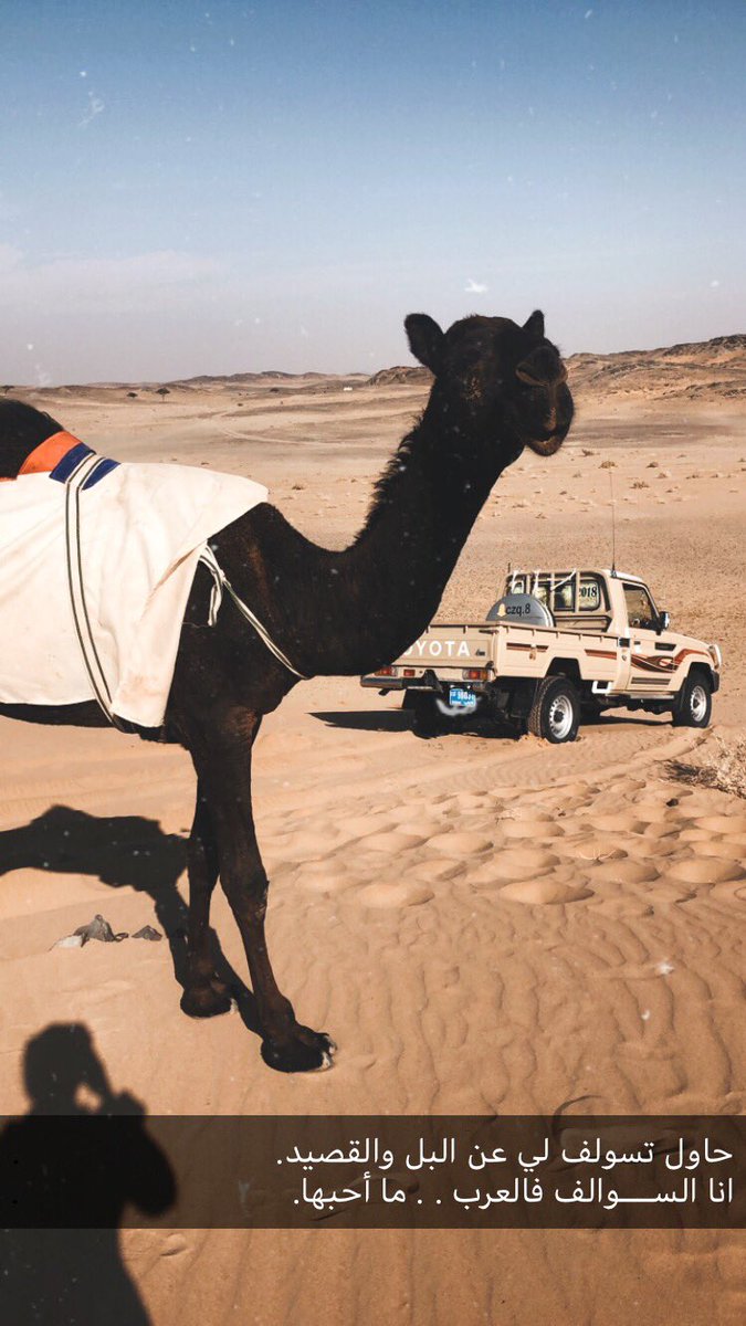 حاول تسولف لي عن البل والقصيد
انا الســــوالف فالعرب . . ما أحبها.

.
.💭🎵'ء