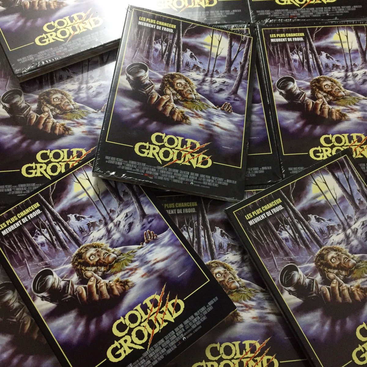🇫🇷Terrifiant et impitoyable 🇫🇷 COLD GROUND est actuellement disponible en édition collector 2 DVD💀”Vous ne verrez plus la montagne de la même façon”💀Plongez dans l’enfer blanc maintenant❄️ Lien dans la bio. #horreur #sortiesdvd #film #DVD