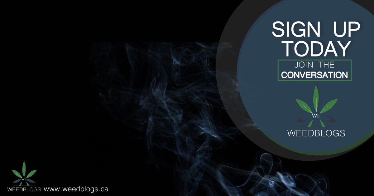 weed_net_'s tweet photo. High WeedNet fam!
Have you signed up for @weed_blogs yet? Don't miss out on some amazing opportunities and giveaways!
Sign up today to join the conversation.
Visit https://t.co/n8HQheDOos to sign up today!
#WeedNet #Cannabis #Legalization #CannabisLegalization #CanadaAct #Weed https://t.co/veZifhFksG