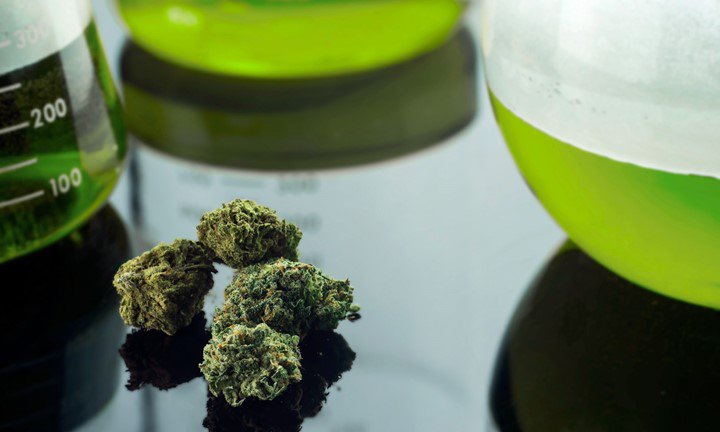 6 Reasons Why We Need to Support the Scientific Investigation of Medical Cannabis bit.ly/1IgoXKl #marinuanascience