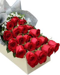AldacoEliza's tweet photo. @bloomingflowers https://t.co/G6sIzO325h