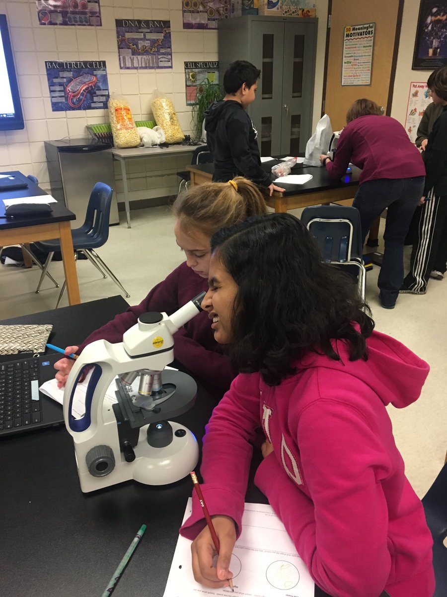 CrestviewMiddle's tweet image. Our 6th graders are working on their scientist skills today.   #CMSLearns