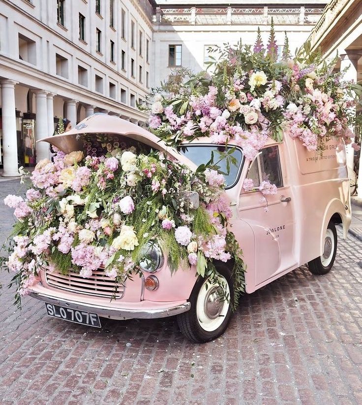 #SaturdayThoughts    💙 Love and compassion are needs, not luxuries, Without them humanity can not survive 💙  🍂 Dalai Lama 🍂       #SundayMotivation     💛 Be kind whenever possible  🙆                      💃😊 It is always possible 😊💃     🌼🌹Happy days 💕 for everyone 💞