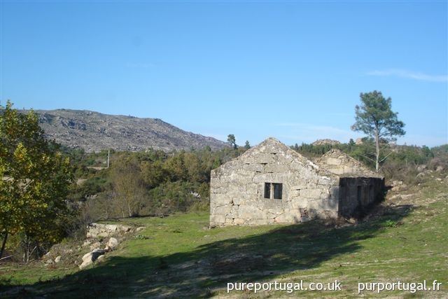 PurPortugal's tweet photo. NRB63: Moinho do Pantaleão https://t.co/nfDclA96Ub 2 moulins de 130m2 et une maison de 83m2 à rénover. Terrain de 1.23ha avec de grands arbres. Electricité à 300m #projetderenovation #CeloricoDaBeira #Portugal https://t.co/zaleoTQmOZ