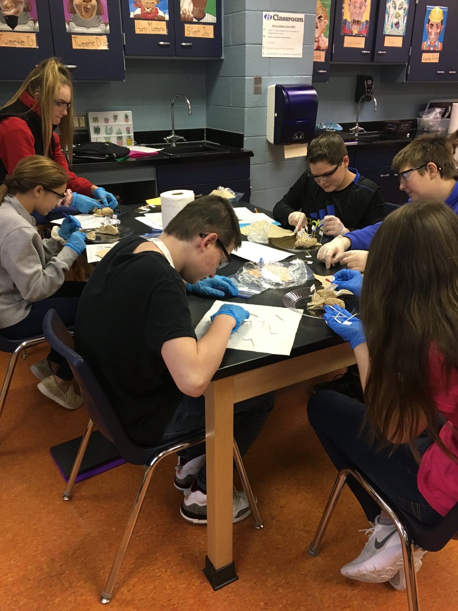 VasuMegan's tweet photo. WMS PLTW students are dissecting sheep brain {🧠} today!  @BCSDWilletts @CStanovcak @mcjvs @PLTWorg #MCCCPLTW #PLTWMD #BtheDIFFERENCE #goggleson 🤓 #gloveson✋ https://t.co/CZEST7gePe