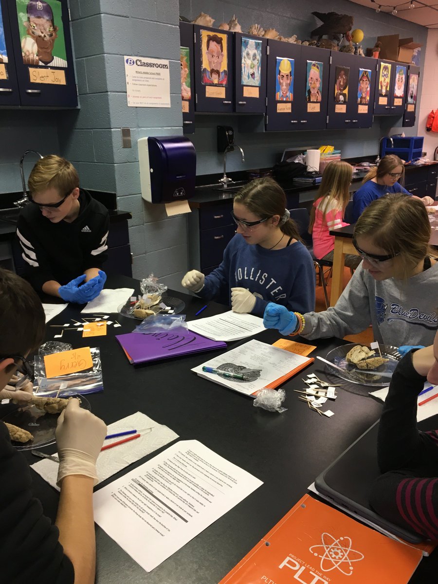 VasuMegan's tweet photo. WMS PLTW students are dissecting sheep brain {🧠} today!  @BCSDWilletts @CStanovcak @mcjvs @PLTWorg #MCCCPLTW #PLTWMD #BtheDIFFERENCE #goggleson 🤓 #gloveson✋ https://t.co/CZEST7gePe