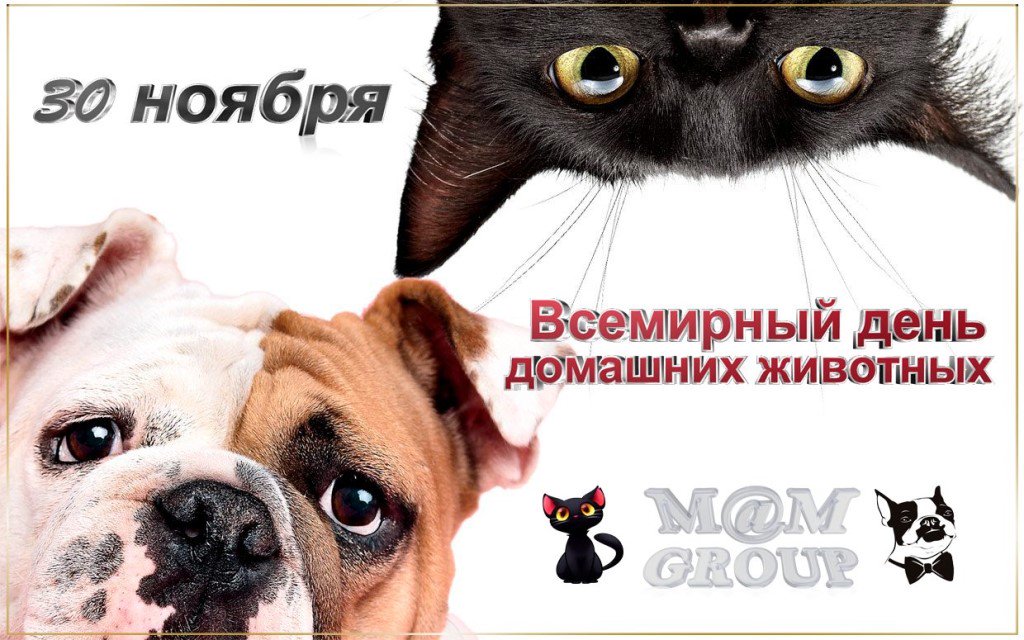 день домашних животных поздравления в прозе отсчет десяти лет
