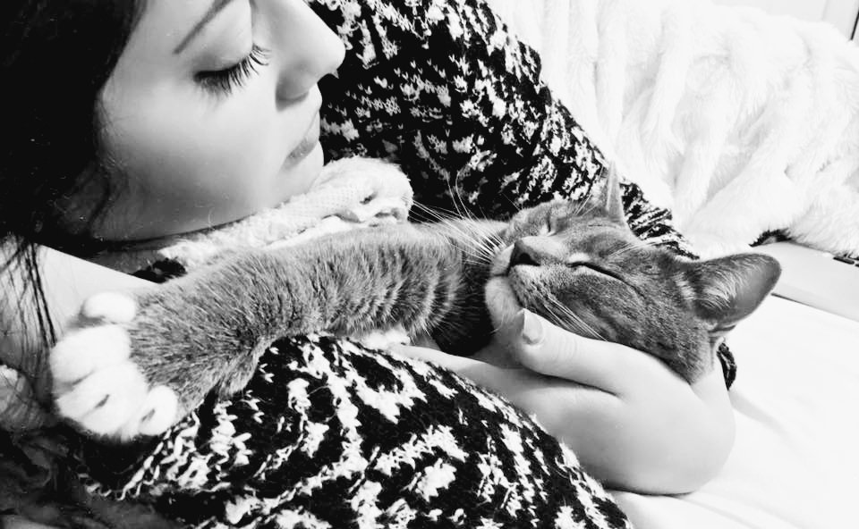 IMHUNTRESS's tweet photo. ⠀🐱 : wιth no dᥱnιαls, ι'm α @ kчlᥱ αnd lovᥱ cαts. ♡ https://t.co/sKx6Fq69k3