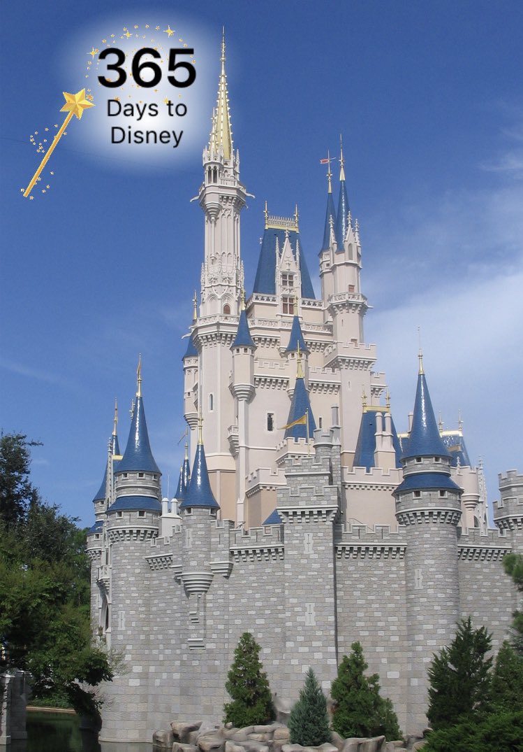 disneymebloggin's tweet photo. ✨We’re going home✨ The secret is out! Exactly a year today, we’ll be heading to WDW to experience the Christmas celebrations for the first time 🎄 We’re so excited to be going home again, and experiencing it at our favourite time of year... #waltdisneyworld #wdwcountdown https://t.co/sJOYU3o41V