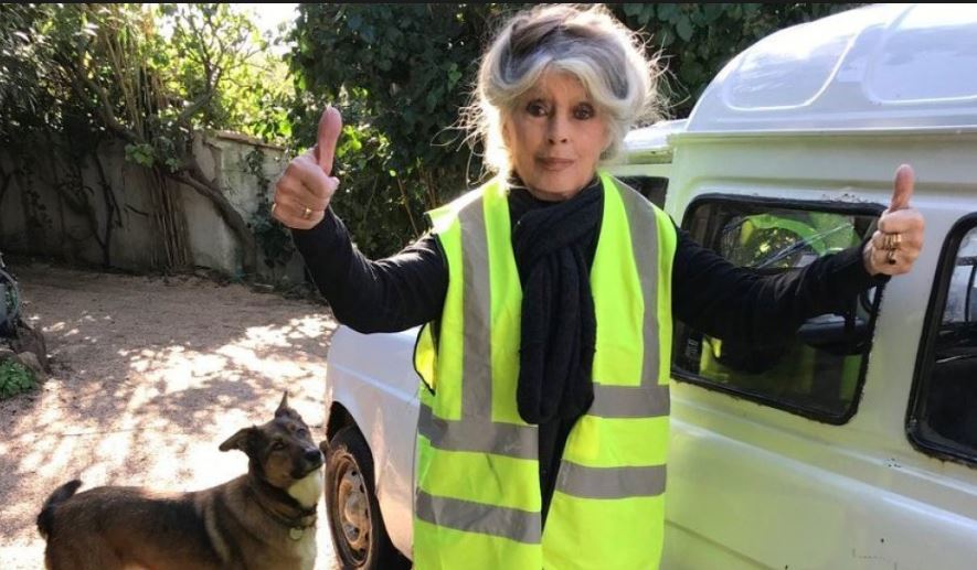 Voilà: C'est dit et bien dit. Dans les Echos d'aujourd'hui. Ras le bol de ces soutiens de circonstances, d'opportunismes, de culpabilisés. Voir aussi les stats de pauvreté en Europe avant de faire du misérabilisme à la Plantu. La citoyenneté en France vit un grand moment