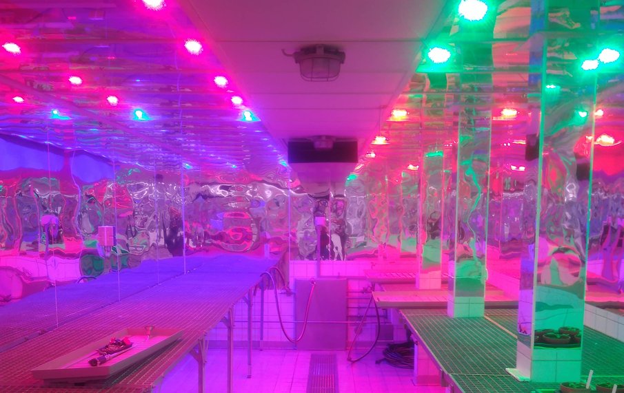 CompledG's tweet photo. If you are interested in understanding state-of-the-art lighting design in cannabis cultivation just download our white paper here https://t.co/zJ34uExmW7 https://t.co/OPLwpN9moK