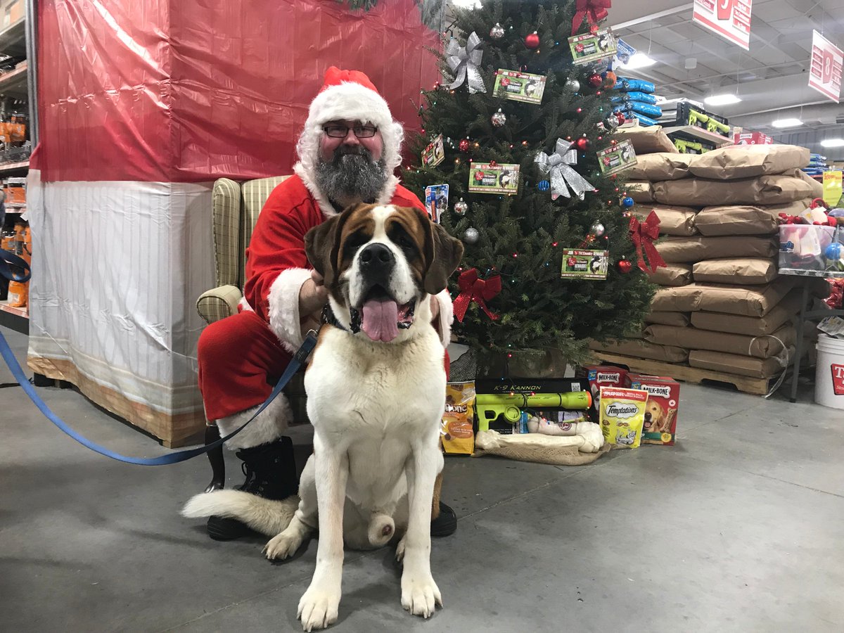 TSCStores's tweet photo. Flashback to Santa Paws at TSC Simcoe last year, where one very happy (and BIG!) dog met Santa.
Visit Santa with your pet this Saturday at TSC Kemptville, starting at 10am. We've got coffee, treats, and FREE pictures with Santa.
#TSCcommunity #SantaPaws #Christmas https://t.co/BMTOnPv0xD