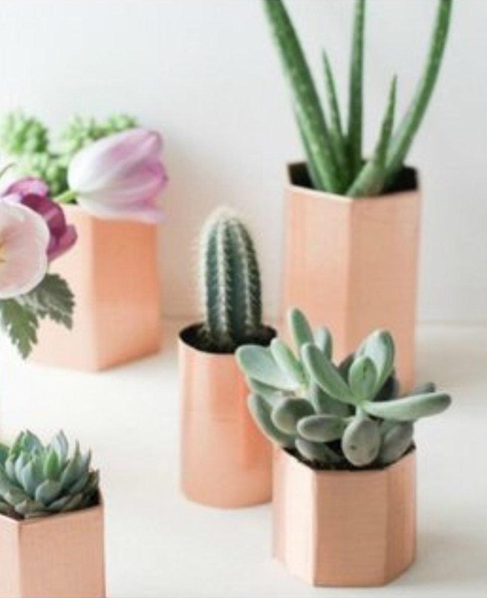 I always find good stuff, from good people at Goodwill! !