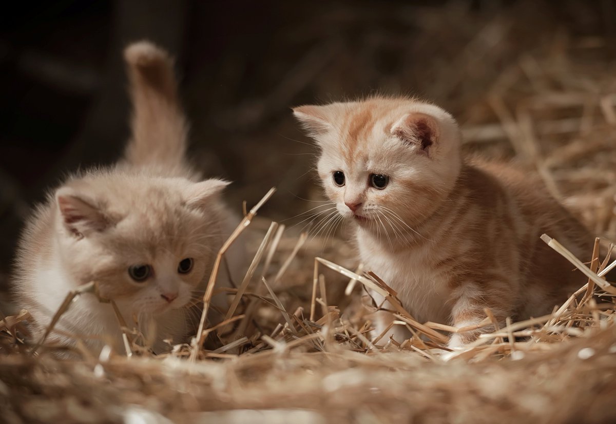 ♡♡♡🧡♡♡♡