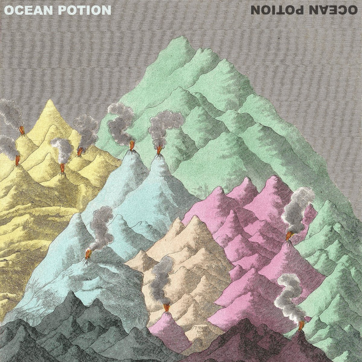 Ocean Potion tweet media