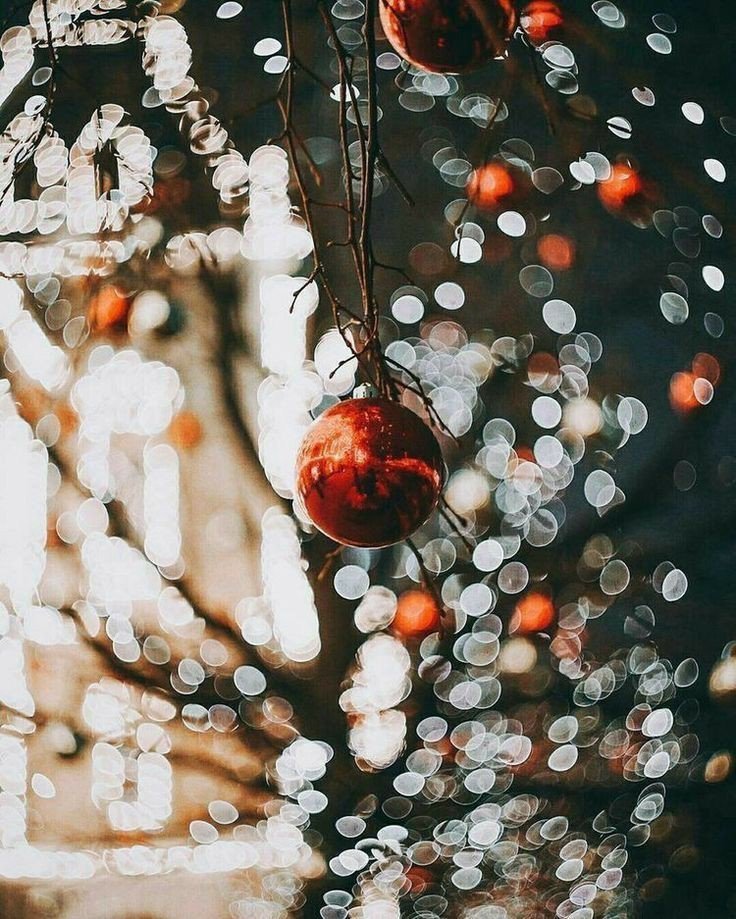 bearnesiafed's tweet photo. 🌙️❄ ~ #Decemberwish 
เดินมาถึงเดือนสุดท้ายของปีกันแล้วนะ ระหว่างทางก็ทำใครหลายๆคนหล่นหายไปเยอะเลย แต่ถึงแบบนั้นก็ยินดีที่ได้รู้จักนะครับ สำหรับคนที่ยังอยู่ก็ขอบคุณจริงๆที่เดินมาด้วยกันจนถึงตอนนี้ ขอให้มีความสุขในเดือนนี้แล้วก็ในเดือนต่อไปด้วยนะครับ 💙💛 https://t.co/iWWvDjoE8v