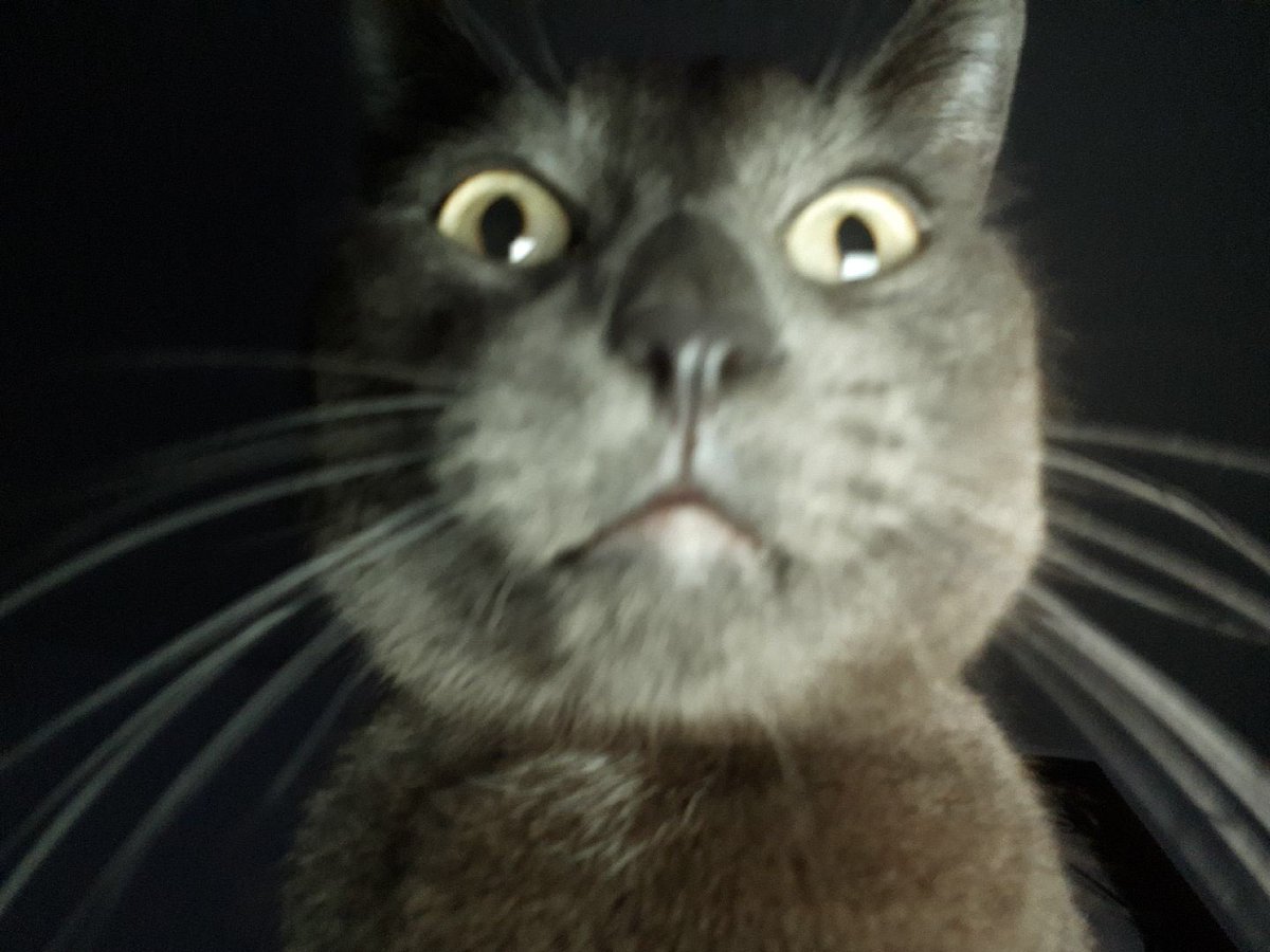 gum_darw's tweet photo. hey it’s been a while! how are you guys doing? here’s a selfie i took on my mom’s phone. (didn’t know the flash was on and it blinded me for a little 3 sec) - G https://t.co/CohEG0EN0p