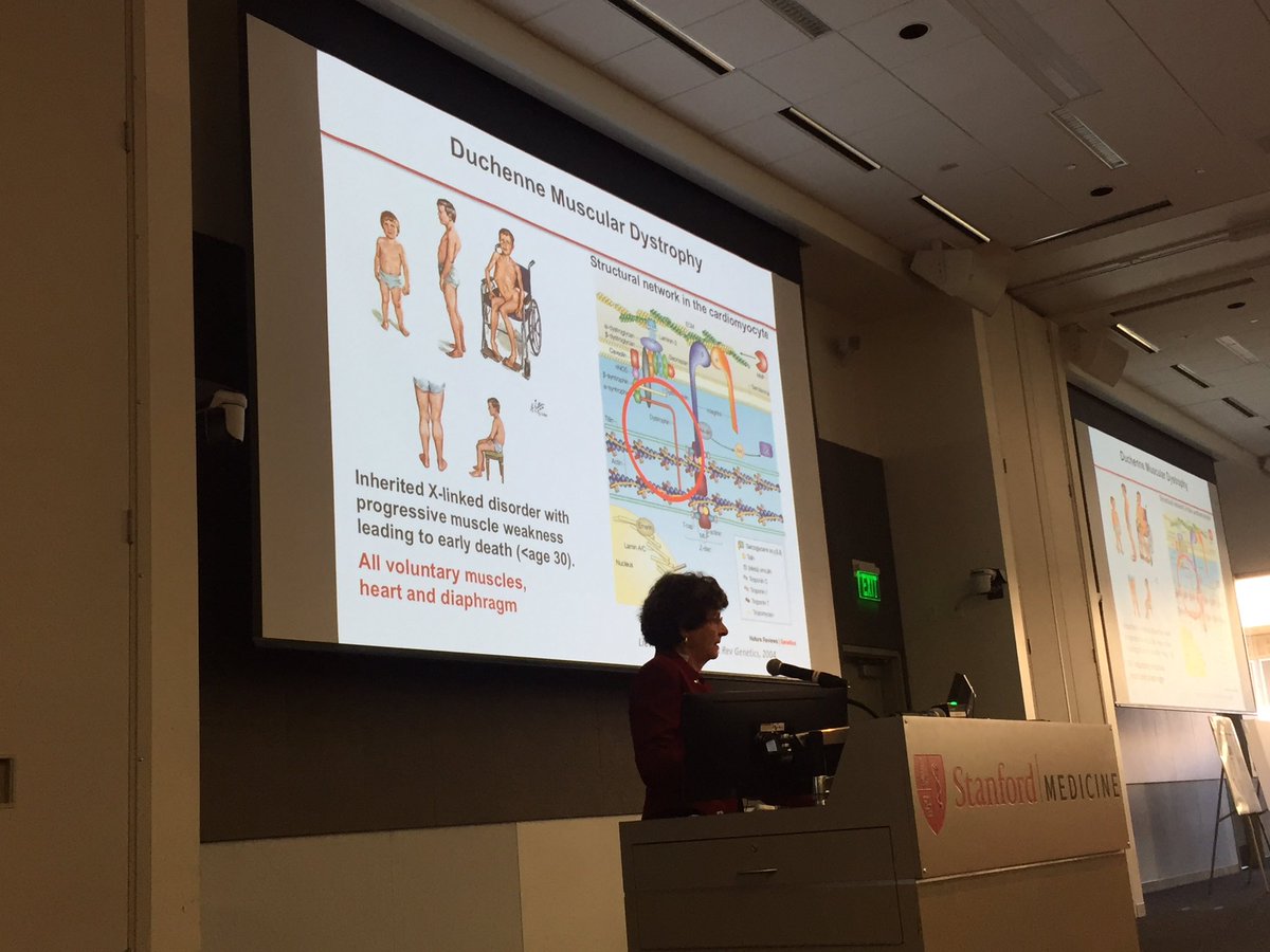 SeanM_Wu's tweet photo. “Stem cell reserve is needed for repair of skeletal muscle defect in Duchenne’s muscular dystrophy” says Helen Blau @ #Stanfordduke2018 @stanford @StanfordMed @StanfordCVI @StanfordDeptMed @StanCVFellows @DukeU @DukeCardiology https://t.co/bPzo2dYMfv