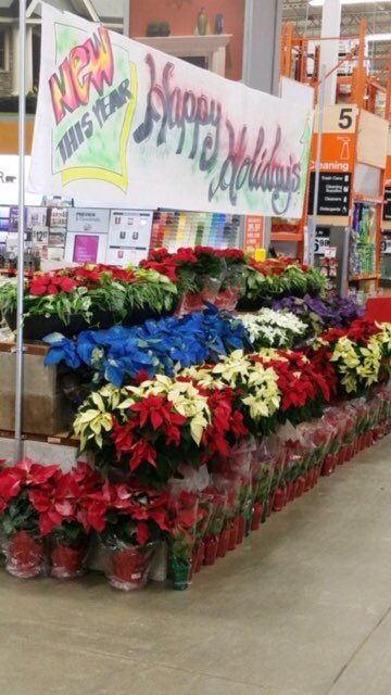 Stephen_E_Camp's tweet photo. Well done TeamLake Zurich Hd 1952. #poinsettiakings #inspirational #salesdrivers @DGLGM @PPSmidwest @PPSinHD https://t.co/xBPsESZ4iz