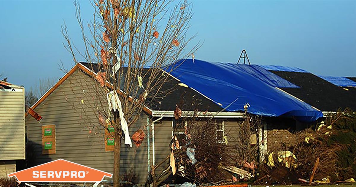 Did you know that SERVPRO also provides board up and roof tarping services after storms and fires?