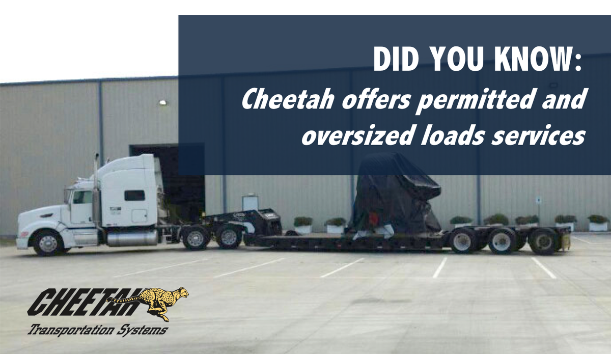 CheetahTrans's tweet photo. Did you know @CheetahTrans offers permitted and oversized loads? Check out our FAQs to learn more about Cheetah. https://t.co/6GpOxM5kDd #cheetahtransportation #FAQ #oversizedloads #permittedloads #cdl #truckdriver #learnmore #cheetahtrucking #customerservice #teamwork https://t.co/LwQS0X4Vy6
