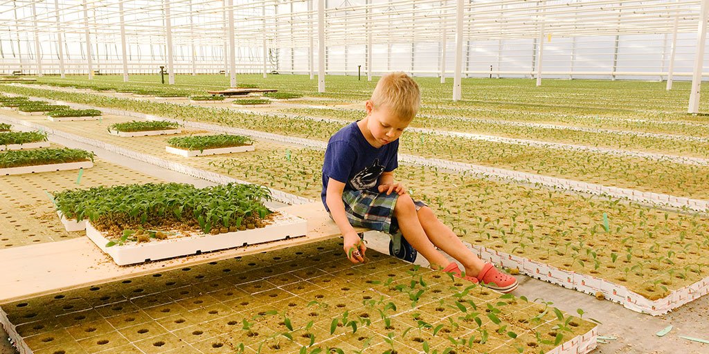 It’s pepper transplanting season, which means it’s all hands on deck here at Plantables HQ. Even Arie - our Watering Wand Extraordinaire - has put down the hose and is helping move these baby plants into their new homes. 🌶 #happyfriday #greenthumb #horticulture #kidswhogarden
