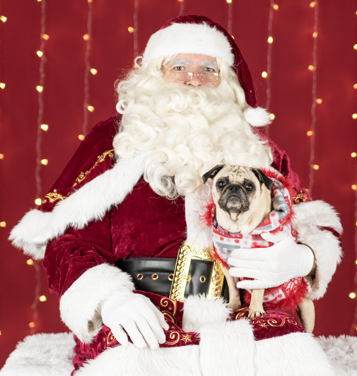 smilingdogacc's tweet photo. Don't miss Santa photos with us and @FishersParks next Saturday, December 8th from 1pm-5pm. We have one of the best pet Santas around! As always, printed photos will be available on site.
https://t.co/5eVpp99Pwu https://t.co/pd1RwKgjDy
