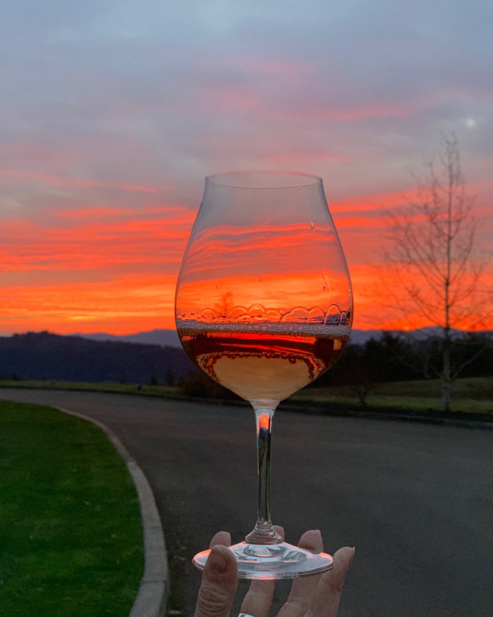 Another Willamette Valley winter sunset strikes again! Just another reason to come visit the valley this winter. #sunset #roseallday