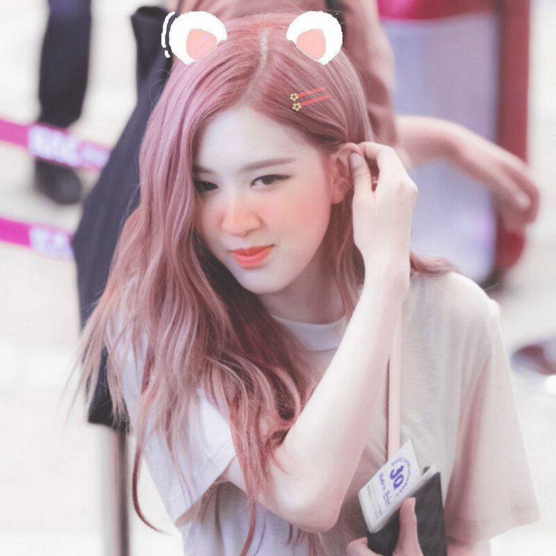 『ณัฐนิชา._.』❀ʕ·ᴥ·ʔ tweet media