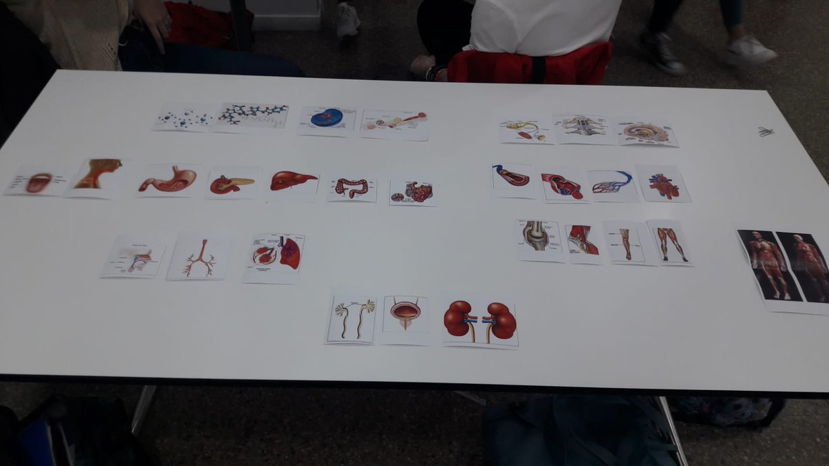 GrymmLab's tweet image. Una de les activitats programades era ordenar de més petit a més gran una sèrie de fotos del nostre organisme.
Aquí podeu veure una foto del nostre ordre😘
#LaNovaFP @jesuitesFP  #LAB1820