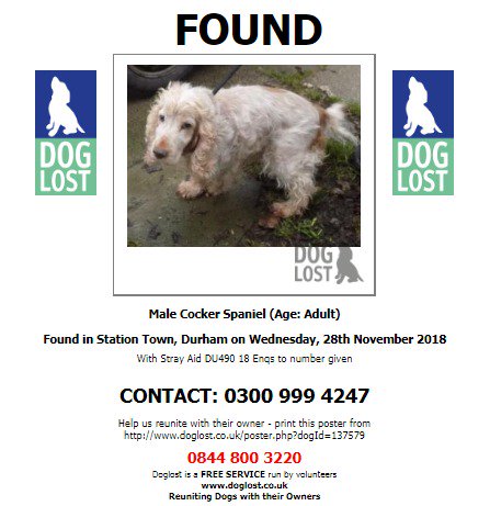DogLostUK's tweet photo. #FOUND #DOG UNKNOWN
Male #CockerSpaniel Adult
#StationTown #Durham #TS28
Wednesday 28th November 2018
#FoundDog #ScanMe @VetsGetScanning @SAMPAuk_
https://t.co/iBv5tY1B5L https://t.co/ToylWRTKmz