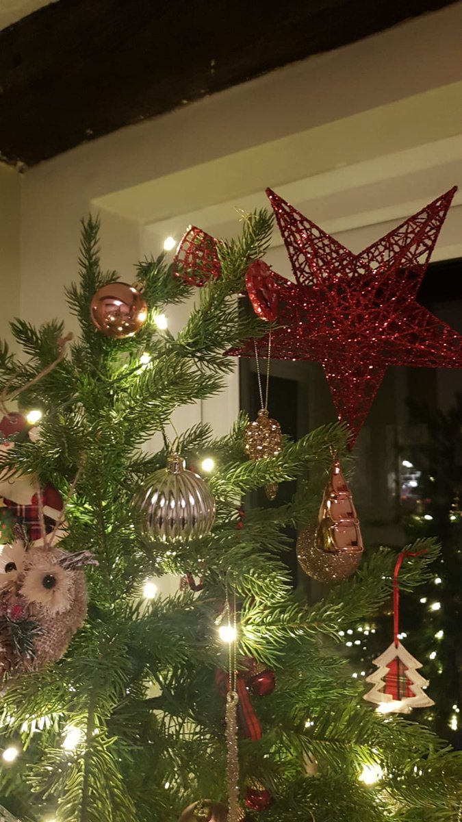 sambourke4's tweet photo. @WeRChristmas how are you supposed to put a star on your trees? The flimsy plastic just falls over and looks crap? Not like we are reinventing Christmas by putting anything on top? https://t.co/QOQ08G7OaR