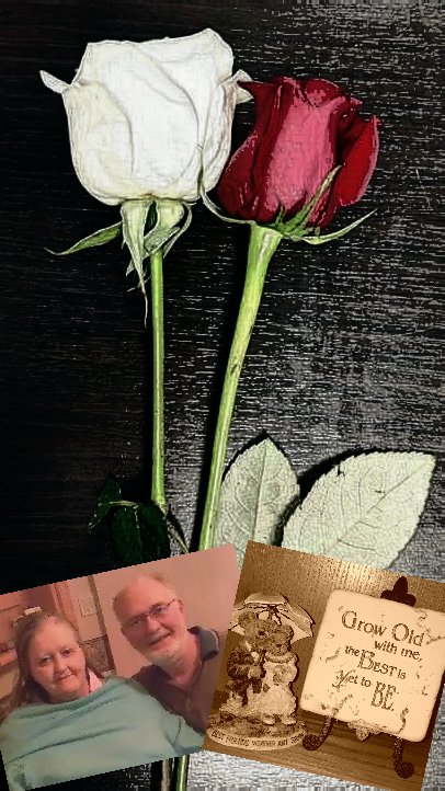 digester7's tweet image. Tomorrow (Saturday) marks 100 days since my Colombe past away!! Always in my heart; always on my mind!