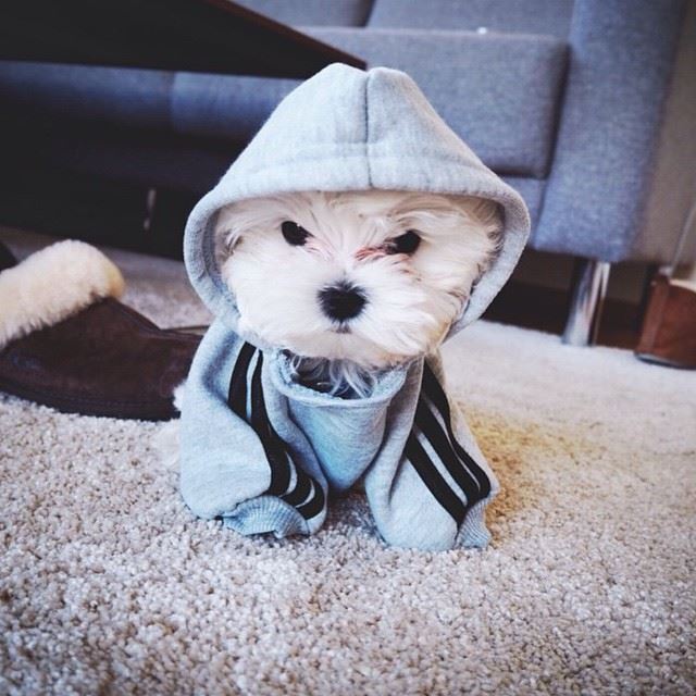 <a href="/ednadesenzi/">Bella DY 🪂✨️</a> <a href="/Baldino10949623/">Baldúino</a> <a href="/faminas_m/">Peteca</a> @dellestefany <a href="/_dicastutoriais/">😎IFB🏄Felipe🏄🔰#GaleraTopSDV🔰</a> <a href="/equicumaca/">Bruna Kessia</a> <a href="/MayzonoIFB/">Mayzono #RNsegueRN</a> <a href="/white_wizzard/">JAG</a> <a href="/zeno_melo/">Zeno 🇧🇷🌟🇧🇷 🏹Lara Croft🏹</a> @Drica3506 <a href="/AyrtonGrange/">MB 👑 Ayrton 🔥</a> <a href="/irvinejulie/">♥️*•.¸♡ ᴊᴜʟɪᴇ 🌹♡¸.•*♥️</a> <a href="/alberany_alves/">Ⓐⓛⓑⓔⓡⓐⓝⓨ 𝕏</a> <a href="/pantuiro/">Pantuiro</a> <a href="/juwadikimiyaho2/">CIPLUKAN 🤍💙</a> <a href="/Spencerjames211/">Spencer James #GAINWITHPETAL #TMPETAL #Teamspirit</a> <a href="/Grayson0_o/">Rení Tomaz #MFSDV</a> <a href="/___marcio/">marcio</a> #GaleraTopSDV

Sigam
<a href="/faminas_m/">Peteca</a>
@dellestefany
<a href="/_dicastutoriais/">😎IFB🏄Felipe🏄🔰#GaleraTopSDV🔰</a>
<a href="/equicumaca/">Bruna Kessia</a>
<a href="/MayzonoIFB/">Mayzono #RNsegueRN</a>
<a href="/white_wizzard/">JAG</a>
<a href="/ednadesenzi/">Bella DY 🪂✨️</a>
<a href="/zeno_melo/">Zeno 🇧🇷🌟🇧🇷 🏹Lara Croft🏹</a>
@Drica3506
<a href="/Baldino10949623/">Baldúino</a>
<a href="/AyrtonGrange/">MB 👑 Ayrton 🔥</a>
<a href="/irvinejulie/">♥️*•.¸♡ ᴊᴜʟɪᴇ 🌹♡¸.•*♥️</a>
<a href="/alberany_alves/">Ⓐⓛⓑⓔⓡⓐⓝⓨ 𝕏</a>
<a href="/pantuiro/">Pantuiro</a>
<a href="/RizzoGigirz58/">Luigi Rizzo 💌</a>
<a href="/juwadikimiyaho2/">CIPLUKAN 🤍💙</a>
<a href="/Spencerjames211/">Spencer James #GAINWITHPETAL #TMPETAL #Teamspirit</a>
<a href="/Grayson0_o/">Rení Tomaz #MFSDV</a>
<a href="/___marcio/">marcio</a>