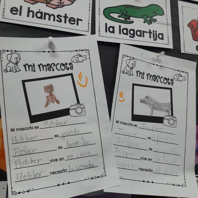 WPS_Spanish's tweet photo. We are creating sentences to describe our pets ❤. ¿Tu perro duerme en tu cama?  @woodlandschool https://t.co/fTtKAKhmcI