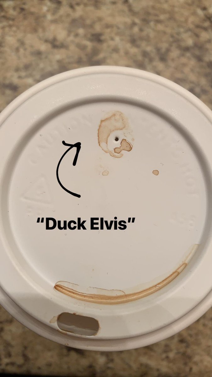 Ain’t nothin’ but a hound duck