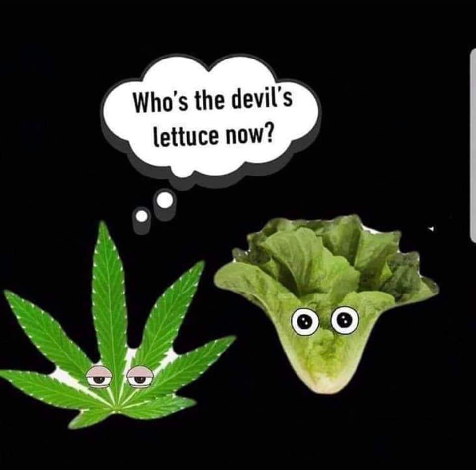 BIG_LUU's tweet photo. #Romaine #Cannibus #passittotheleft
@DannyGradio @uhbroncofan
@benmaller https://t.co/9PVd4CuHeS