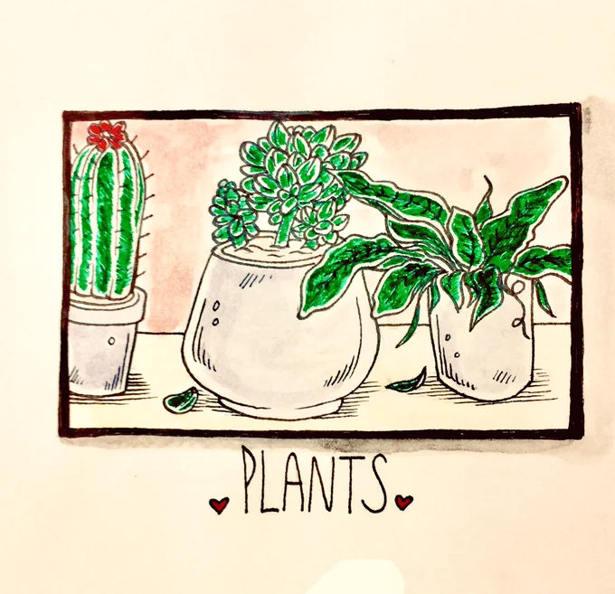 ? Plants! ? 