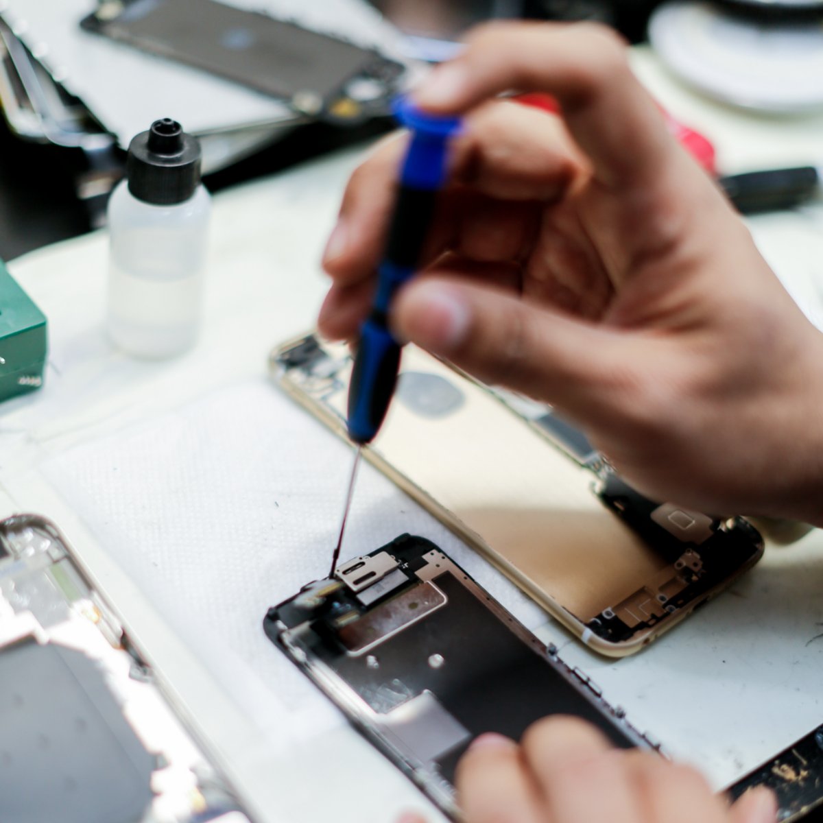 Campus Mobile Solutions tweet media