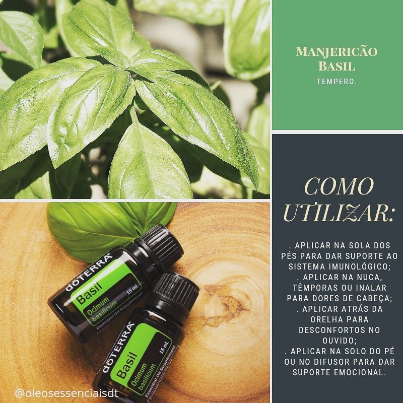 oleosessenciadt's tweet photo. 🍀Quer saber como adquirir esse e outros óleos da dōTERRA com mais de 25% de desconto?
🌸Entre em contato por DM.
#doterra #doterrabr #oleosessenciaia #aromaterapia #aromatologia #manjericao https://t.co/9sXL30IOAZ