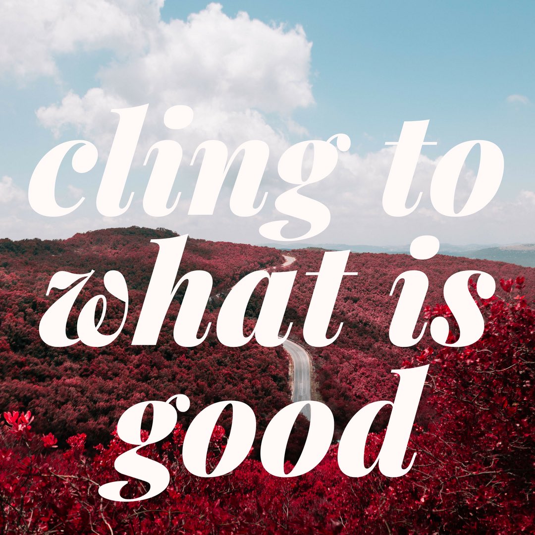 There is the chance for the day to be as good as you allow it to be. It can be hard getting caught up in daily tasks that can bring you down. However, when you do need a pick me up that is guilt free with good content for the whole family, we have the perfect movies for you!