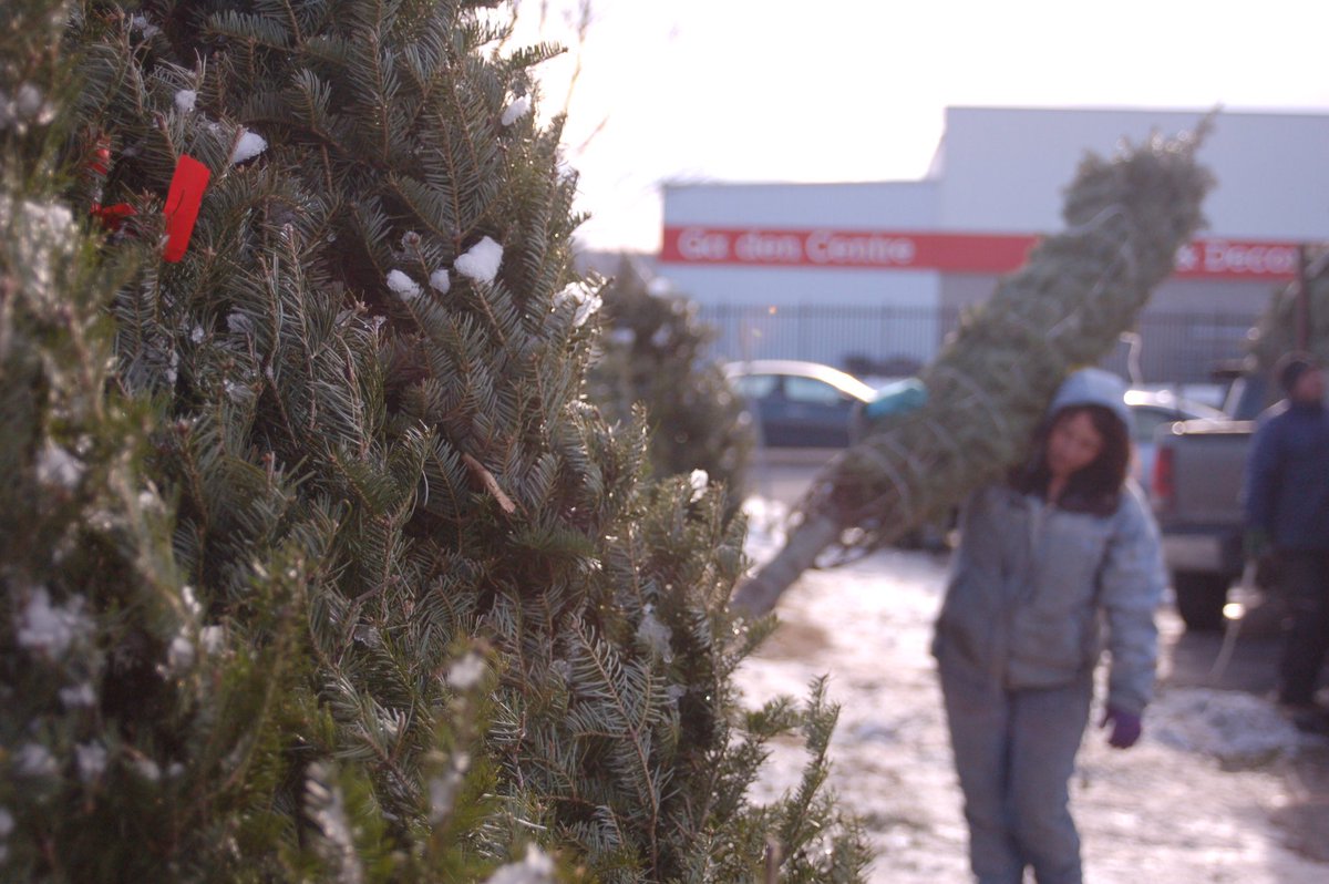 In the Christmas spirit yet? Drop by the Nashwaaksis Y Service Club tree lot on Main Street by Home Hardware to get your Christmas tree.  Trees are $35 and all proceeds go towards helping the Fredericton community. We’re open 10 a.m - 9 p.m. everyday! 🌲🎁