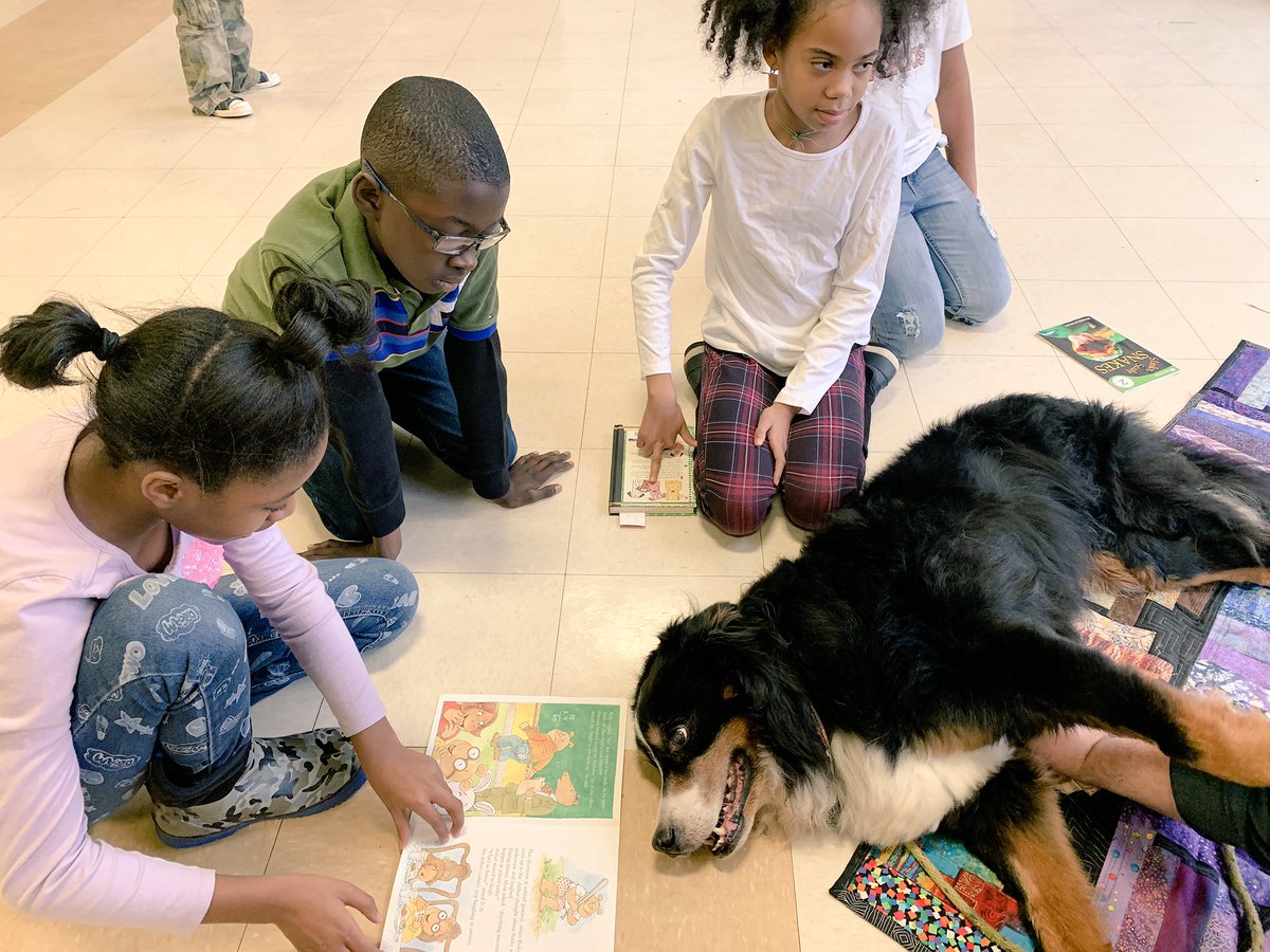 caitlin_tisch's tweet photo. An extra fun Friday with our #petpartners. This makes reading so much fun! ❤️📚 #nostoppingusnow #dayBeyeday @BeyeTheWay https://t.co/dbar1oAafs