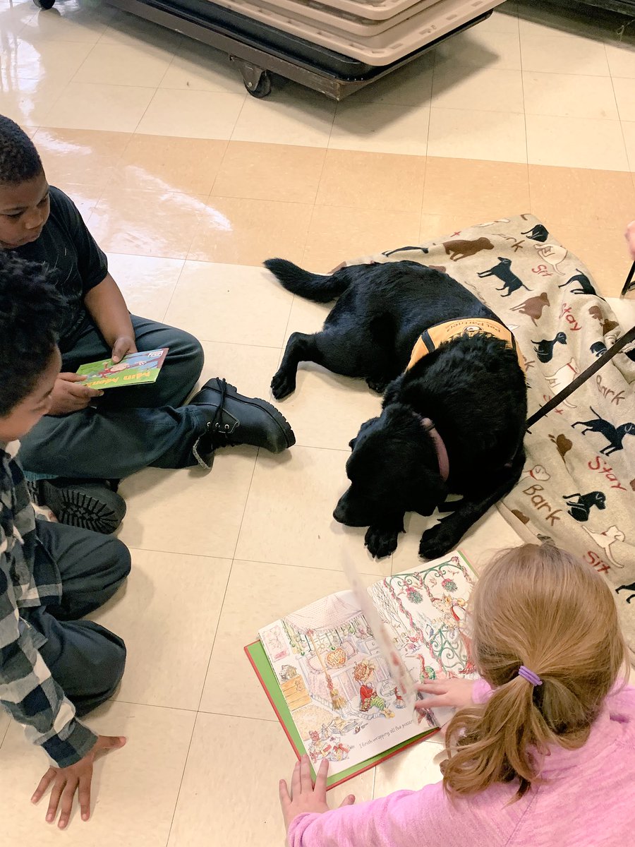 caitlin_tisch's tweet photo. An extra fun Friday with our #petpartners. This makes reading so much fun! ❤️📚 #nostoppingusnow #dayBeyeday @BeyeTheWay https://t.co/dbar1oAafs