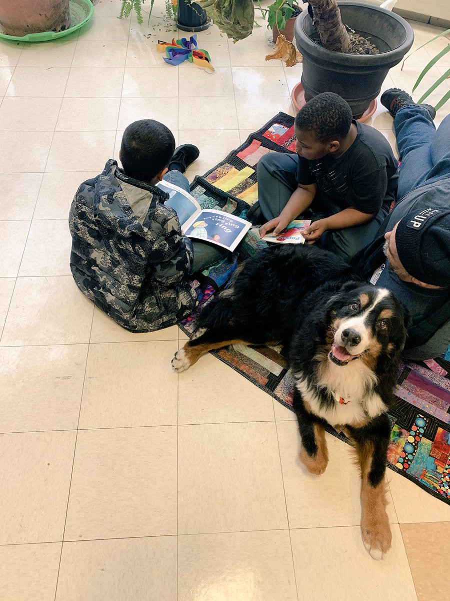 caitlin_tisch's tweet photo. An extra fun Friday with our #petpartners. This makes reading so much fun! ❤️📚 #nostoppingusnow #dayBeyeday @BeyeTheWay https://t.co/dbar1oAafs