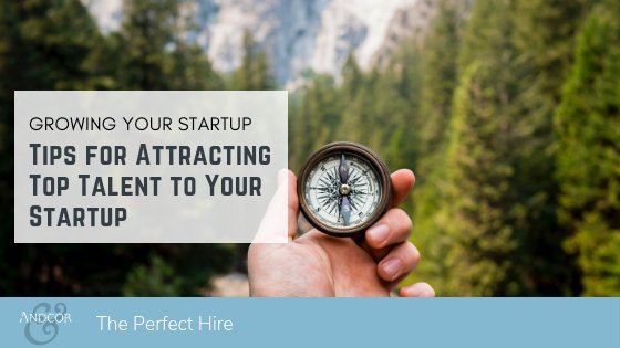 Andcor's tweet image. A great benefits package is absolutely important, but it certainly isn't the only way to attract top talent to your company. #Recruiting #ExecutiveSearch #BenefitsPackage hubs.ly/H0fmTbz0