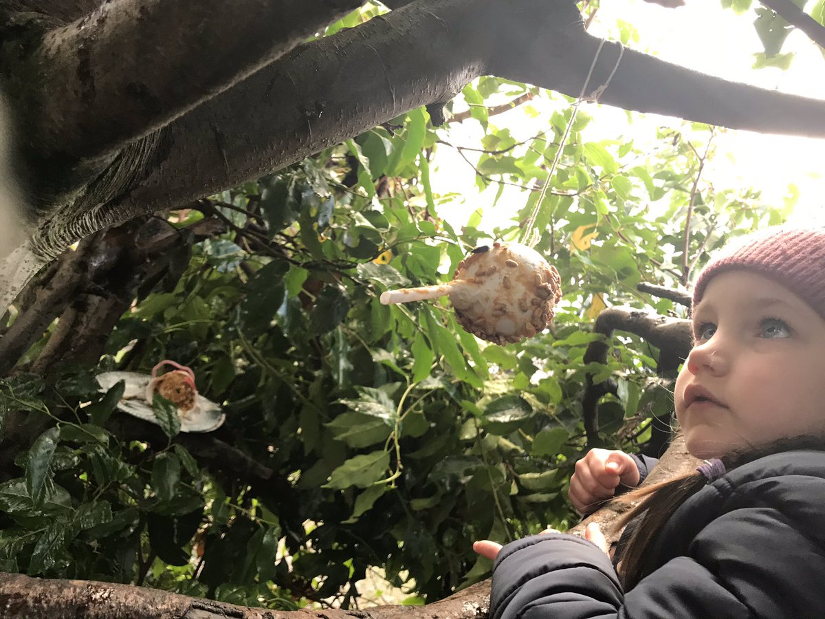 BlairhallPS's tweet image. It’s a chilly one out there at the minute, so to make sure the birds have plenty to eat, we designed and then created our own bird-feeders for todays outdoor learning masterclass. #lookingaftertheanimals #learningiscaring