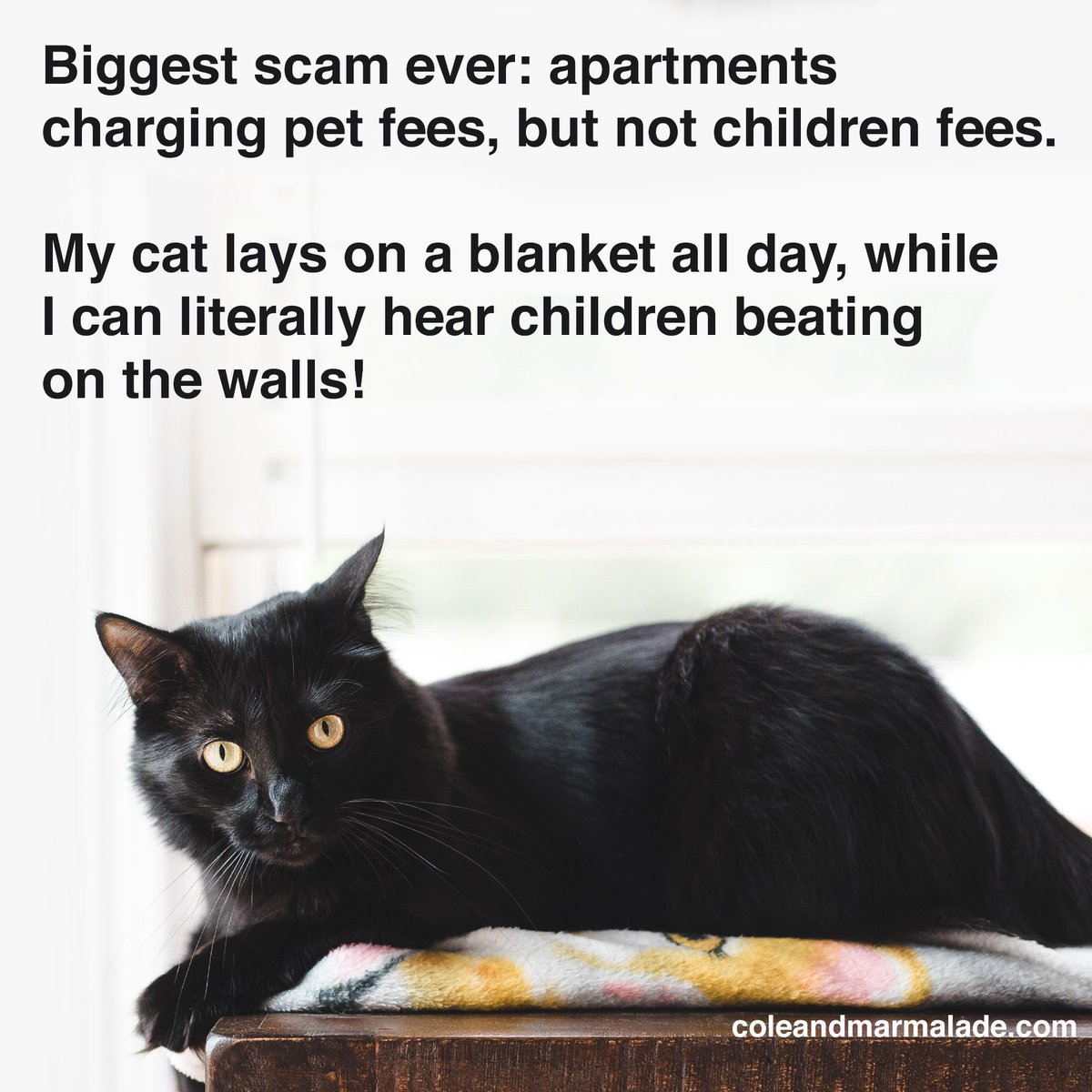 SO TRUE! 😠
#MyKidHasPaws #ColeAndMarmalade #CatsOfTwitter