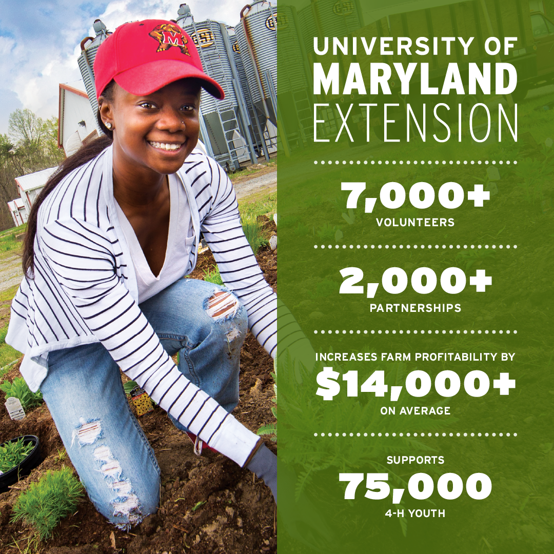 UofMaryland's tweet image. The University of Maryland Extension puts #UMD research &amp;amp; expertise to work for Marylanders across the state #FearlessIdeas extension.umd.edu
